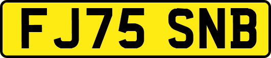 FJ75SNB