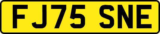 FJ75SNE