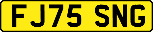 FJ75SNG