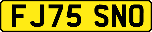 FJ75SNO