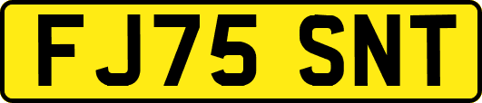 FJ75SNT