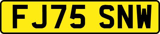 FJ75SNW