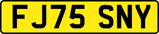 FJ75SNY