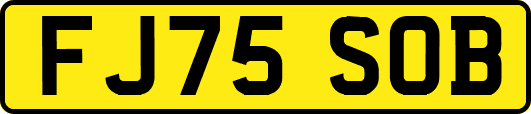 FJ75SOB