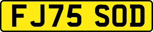 FJ75SOD