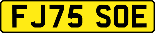 FJ75SOE