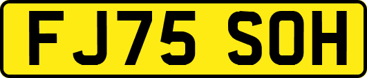FJ75SOH