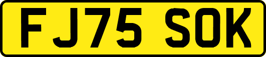 FJ75SOK