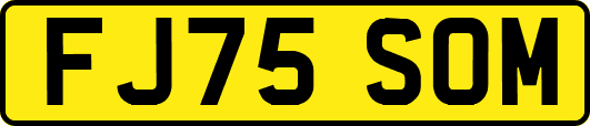 FJ75SOM