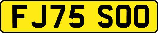FJ75SOO