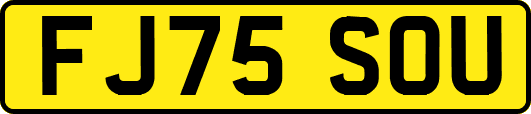 FJ75SOU