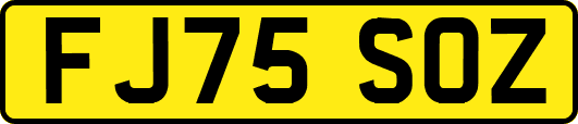 FJ75SOZ