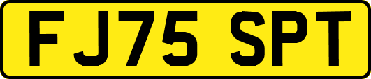 FJ75SPT