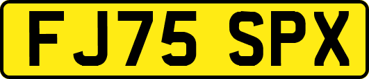 FJ75SPX