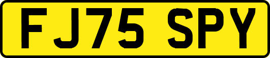 FJ75SPY