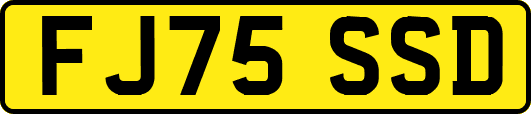 FJ75SSD