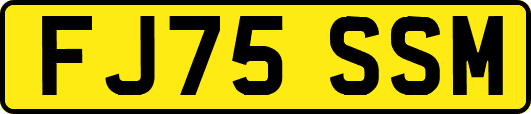 FJ75SSM