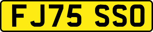 FJ75SSO