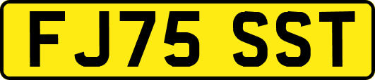 FJ75SST
