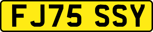 FJ75SSY