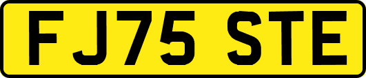 FJ75STE