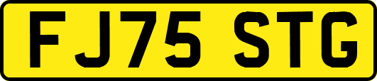 FJ75STG