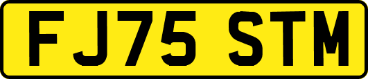 FJ75STM