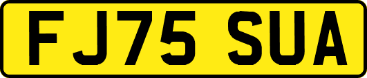 FJ75SUA