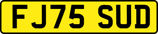 FJ75SUD