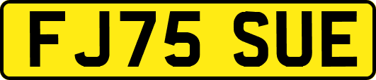 FJ75SUE