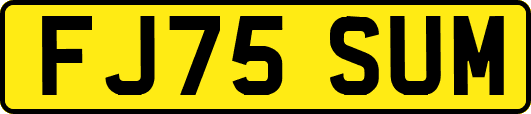 FJ75SUM