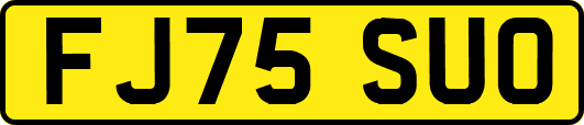 FJ75SUO