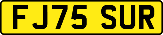 FJ75SUR