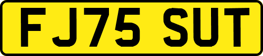 FJ75SUT