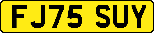 FJ75SUY