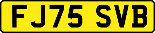 FJ75SVB