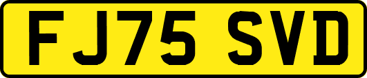 FJ75SVD