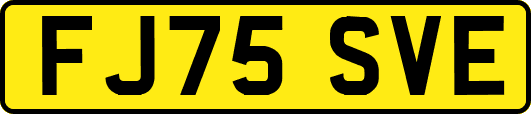 FJ75SVE