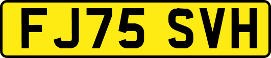 FJ75SVH