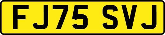 FJ75SVJ
