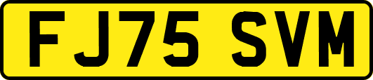 FJ75SVM