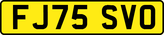 FJ75SVO