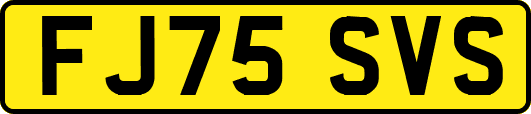 FJ75SVS