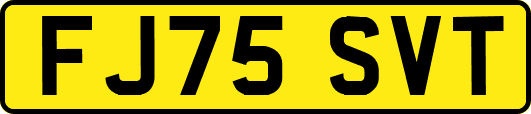 FJ75SVT