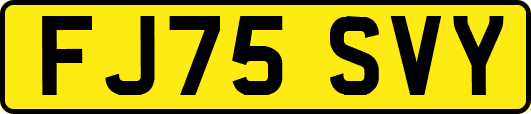 FJ75SVY