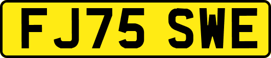 FJ75SWE