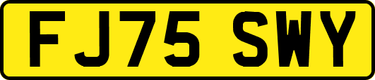 FJ75SWY