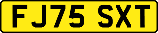 FJ75SXT