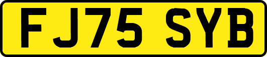 FJ75SYB