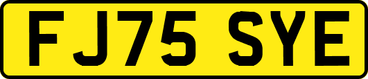 FJ75SYE